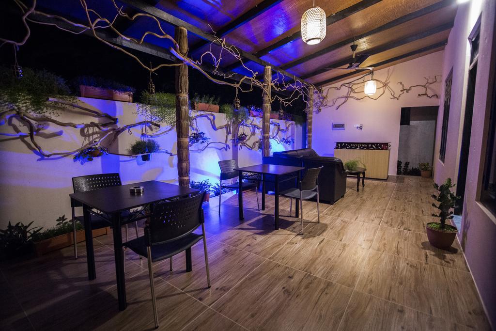 Ari Heaven Thoddoo Maldives Ξενοδοχείο Εξωτερικό φωτογραφία
