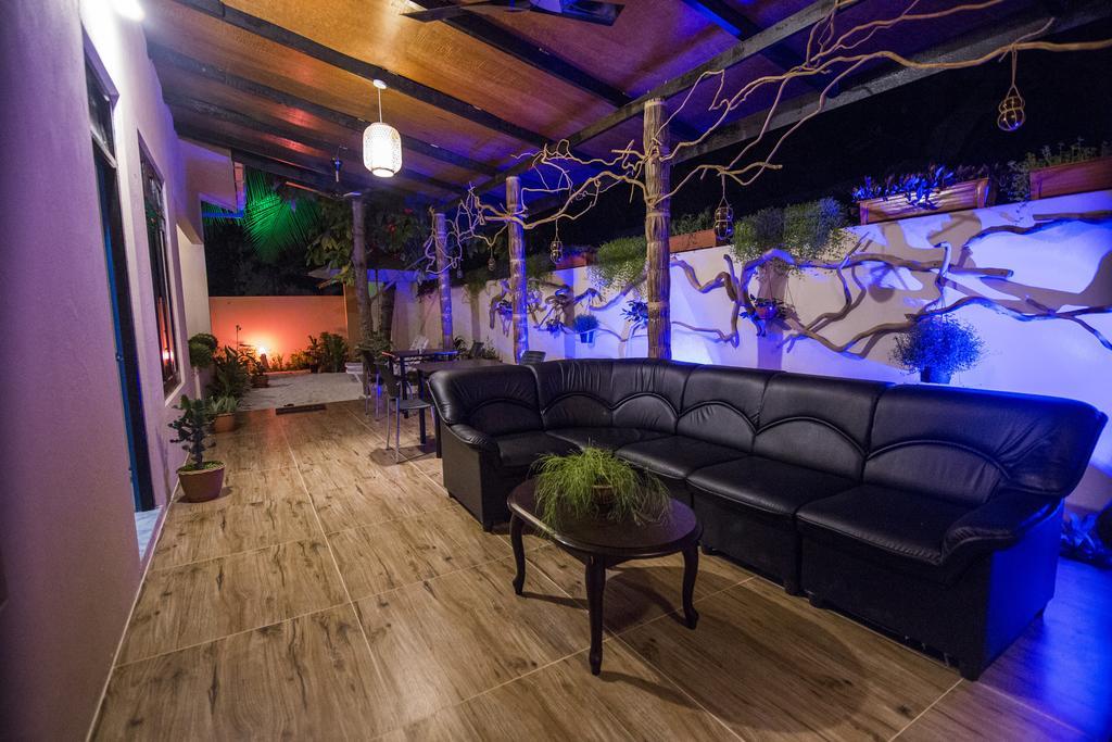 Ari Heaven Thoddoo Maldives Ξενοδοχείο Εξωτερικό φωτογραφία